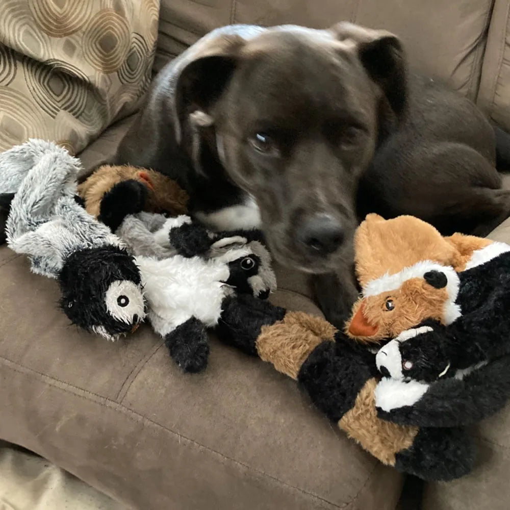 Stuffingless Plush Squeaky Dog Toy